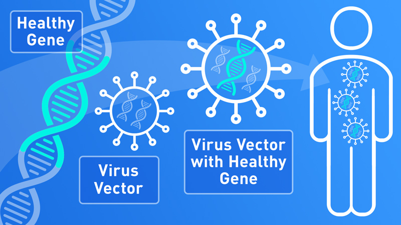 gene therapy in human